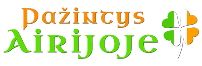 pazintysairijoje.com